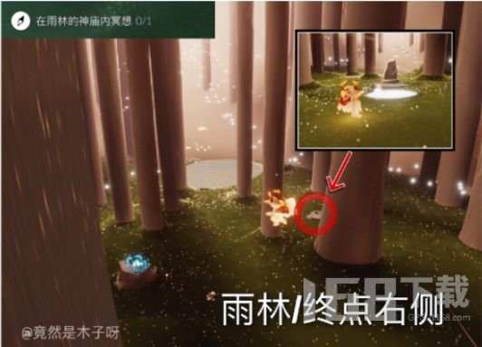 光遇8月19日任务怎么做 8.19每日任务完成图文一览